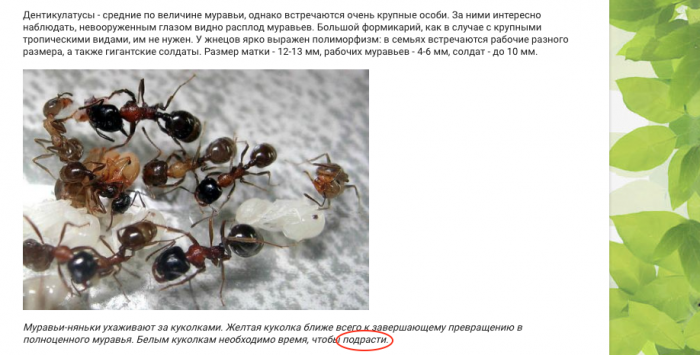  экрана 2018-09-17 в 0.56.40.png